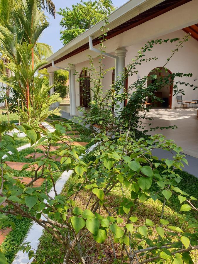 Bella Vita Aluthgama Esterno foto